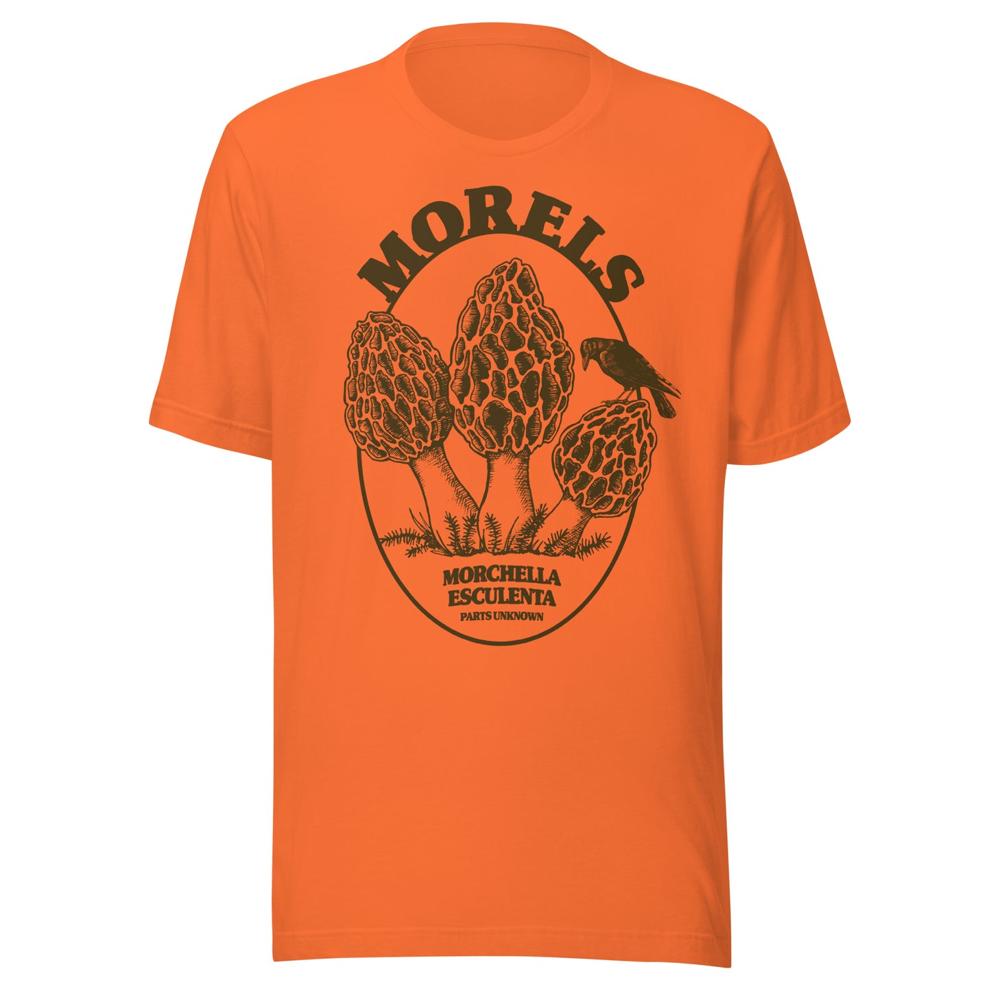 Orange morel mushroom field guide t-shirt inspired by elusive investigations and late-night searches