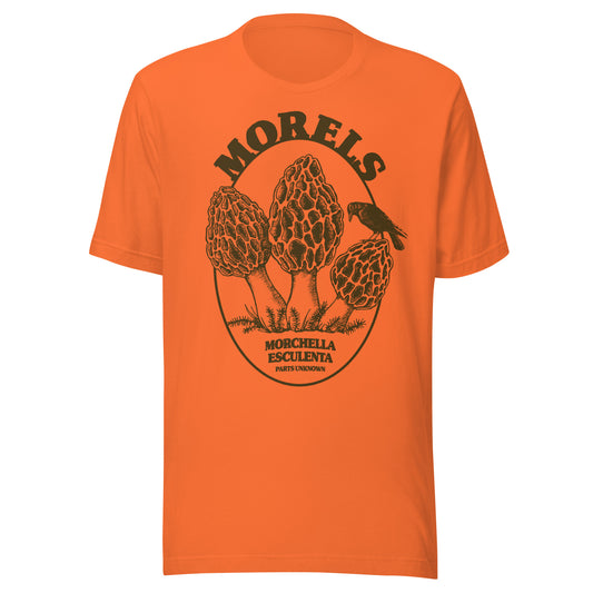 Orange morel mushroom field guide t-shirt inspired by elusive investigations and late-night searches